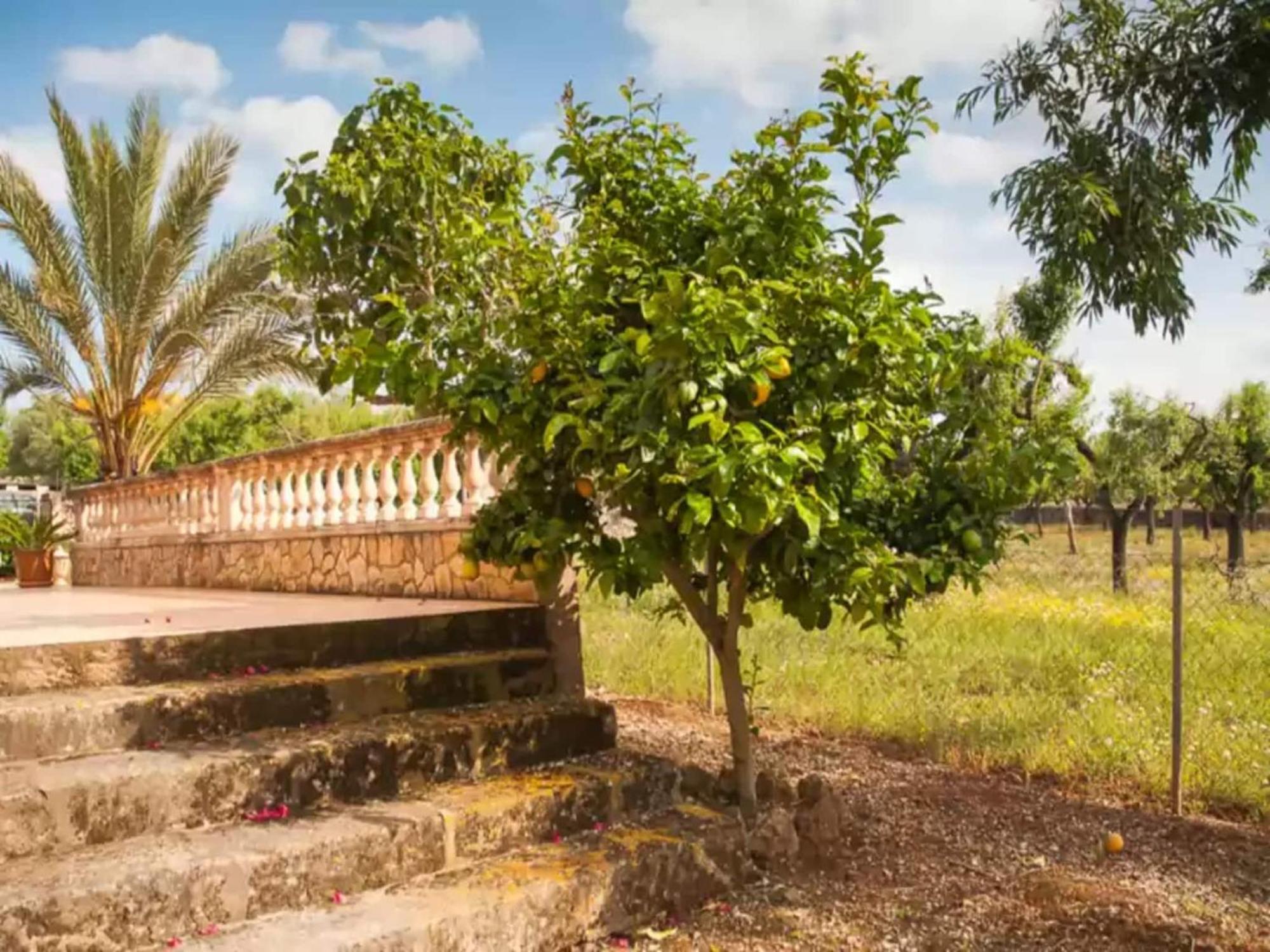 Son Morro-villa With Private Pool Free Wifi Can Picafort (Mallorca)